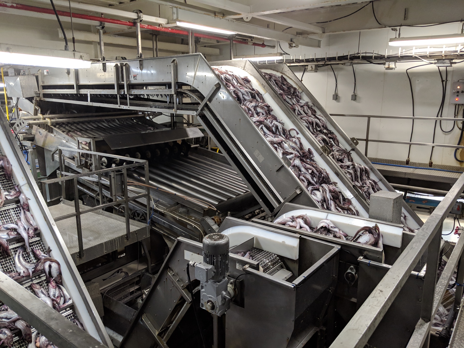 SEAFOOD43 Coastline Equipment Inc. Food Processing & Handling Equipment