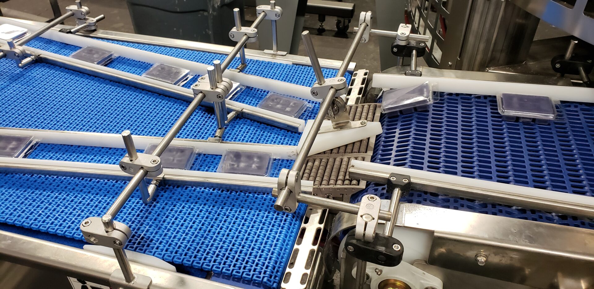 Singulator Conveyor Rimports 2021 1 (2)