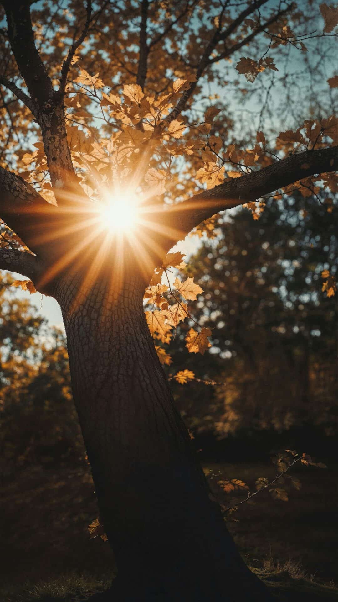 Mehdi messrro SstJcC98uRQ unsplash